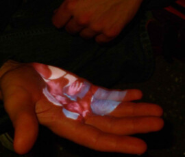 5876159719_daa105c451_b