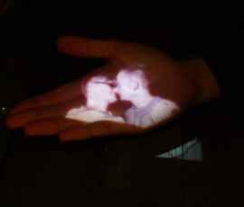 5876160025_9485b61dcd_b