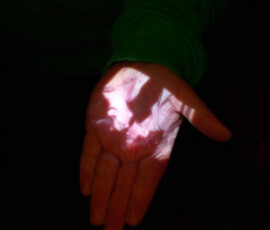 5876720824_c5ef618b58_b